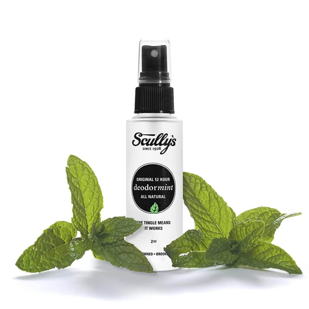 Scully’S Deodormint Natural Deodorant Refill (9Oz) - Aluminum-Free, Non-Toxic Deodorant For Women, Men & Kids - 12 Hour Protection, No Chemicals, No Stains - Usa Made (Lavender Refill) : Beauty & Personal Care