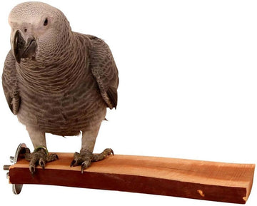 Manzanita Natural Flat Parrot Perch - Large