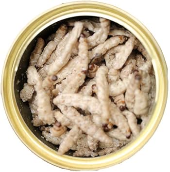 Canned Caterpillars (1.2 Oz.) - Healthy High Protein Insect Treat - Hedgehogs, Sugar Gliders, Reptiles, Wild Birds, Chickens, Lizards, Bearded Dragons, Skunks, Opossums, Fish, Amphibians, Turtles