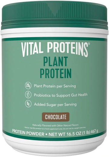 Vital Proteins Vegan Protein Powder ? 20g Plant Based Protein with Chickpea ? 1B CFU Probiotic for Gut Health, No Added Sugar ? Chocolate, 16.5 oz