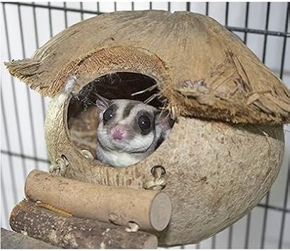 Coconut Hut - Natural Nesting Hideout Home With Bridge Ladder Cage Accessory Toy - Sugar Gliders, Hamsters, Mice, Rats, Birds, Degus, Chinchillas, & Other Small Pets