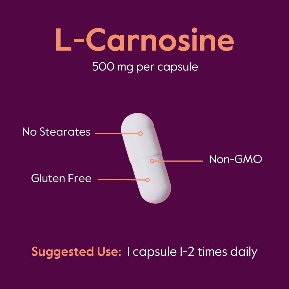 Bestvite L-Carnosine 500Mg Per Capsule (120 Capsules) No Fillers - No Stearates - Non Gmo - Gluten Free : Health & Household
