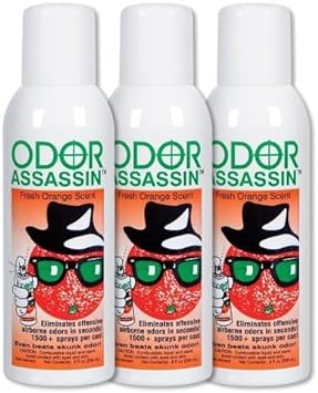 Odor Assassin Orange, Set of 3 (3) : Health & Household