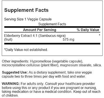 Swanson Sambucus Elderberry Extract 575 mg 120 Veg Caps : Health & Household