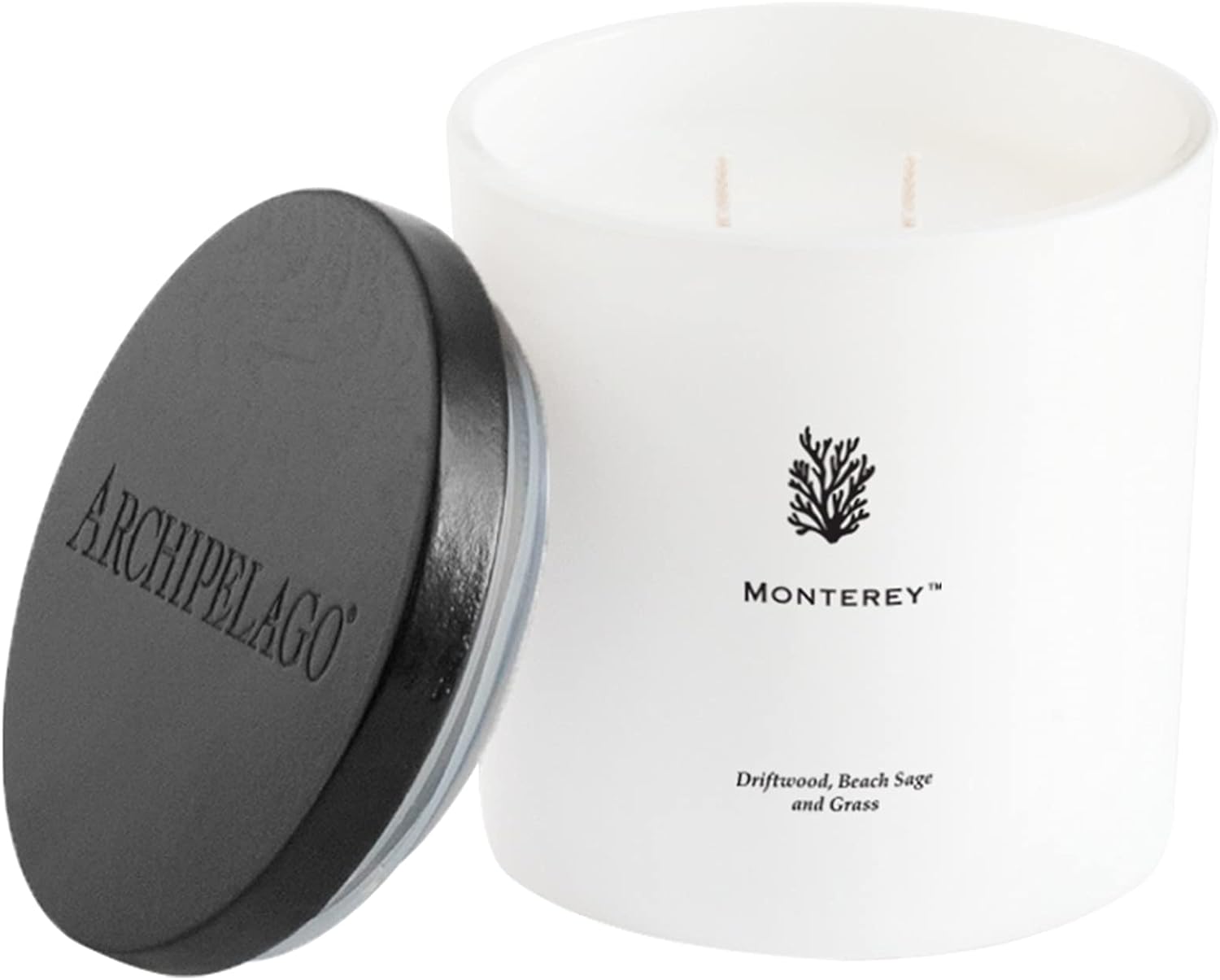 Archipelago Botanicals Monterey Luxe Candle. Relaxing Ocean Scent of Driftwood, Beach Sage and Beach Grass in an Elegant White Glass Jar. Coconut Wax and Double Wicks Burn 100 Hours (13 oz)