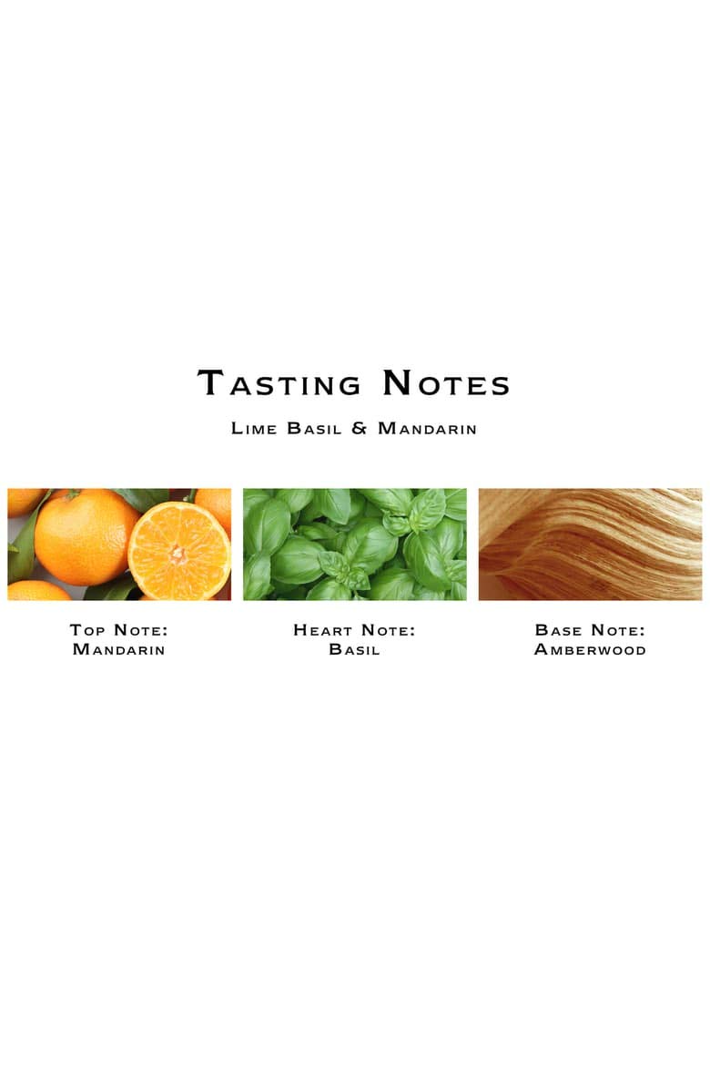 Jo Malone London Lime Basil & Mandarin Shampoo 250Ml : Hair Shampoos : Beauty & Personal Care