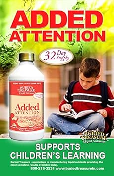 Buried Treasure Added Attention Children's Learning Support with GABA DHA Vitamin B and Herbal Blend 16 oz : Health & Household