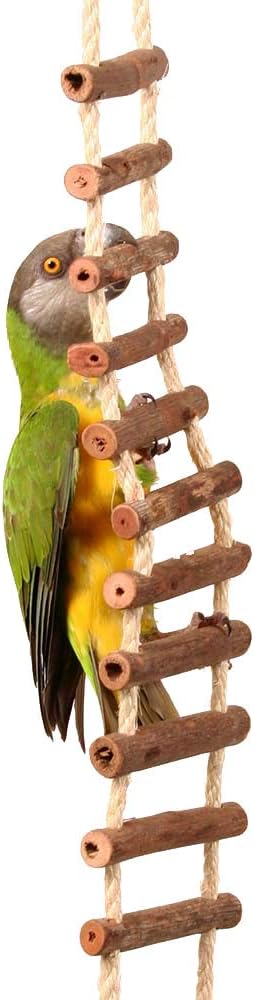 Natural Log Ladder Bridge Parrot Climbing Toy - Large