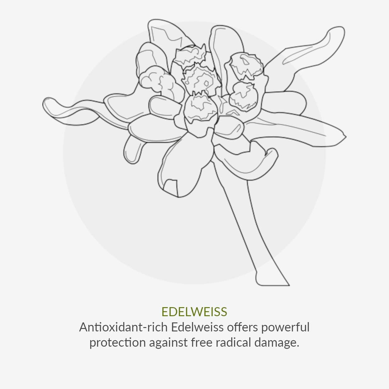 Green People Organic Children Sun Cream SPF30 - Scent Free, Natural Sunscreen - Organic, Vegan, Reef Safe & Cruelty Free, 150ml : Amazon.co.uk: Beauty