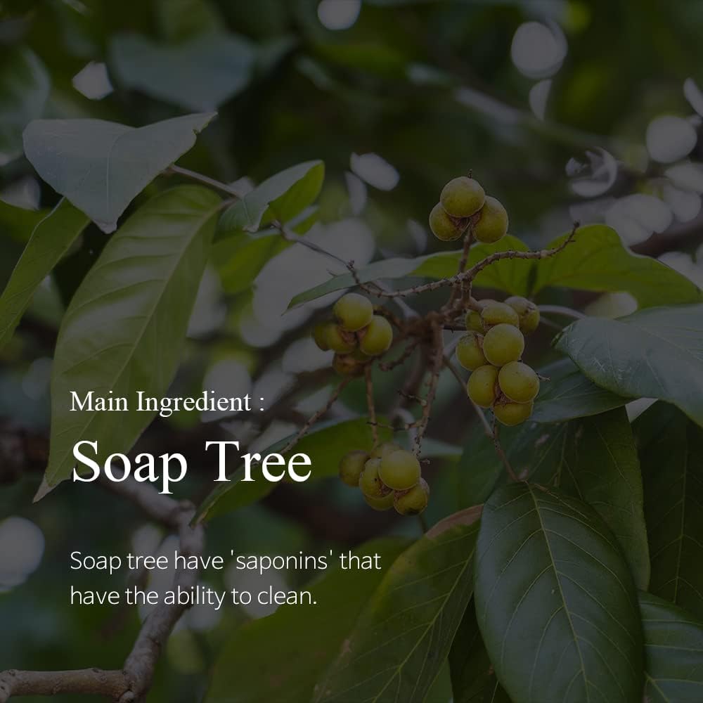 SEED&TREE Plant-Based Dishwashing Soap bar - 4-Piece Bundle - Zero Waste, palm oil free, eco friendly - Plastic Free Package : Health & Household