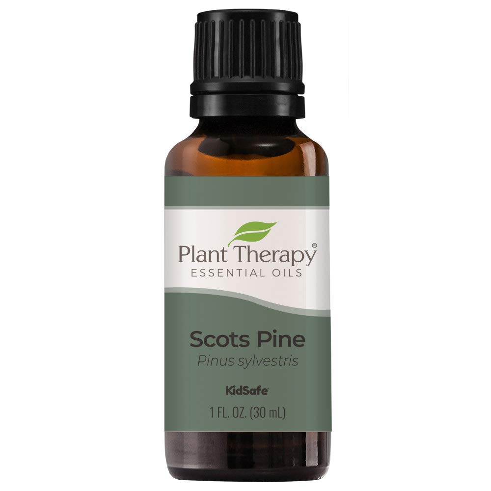Plant Therapy Scots Pine Essential Oil 30 Ml (1 Oz) 100% Pure, Undiluted, Therapeutic Grade