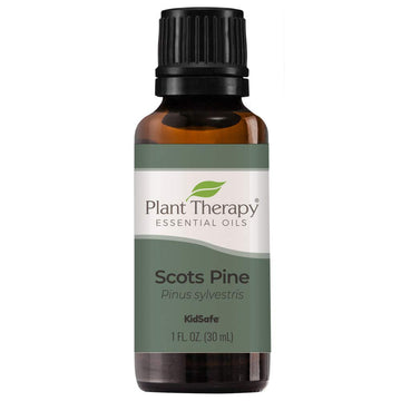 Plant Therapy Scots Pine Essential Oil 30 Ml (1 Oz) 100% Pure, Undiluted, Therapeutic Grade