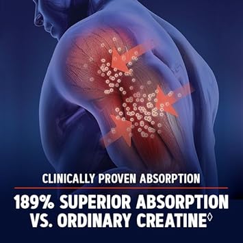 Gnc Amp Creatine Hcl 189 | Targeted Muscle Builder And Recovery Supplement | Fast Absorbing Performance Blend | 480 Count
