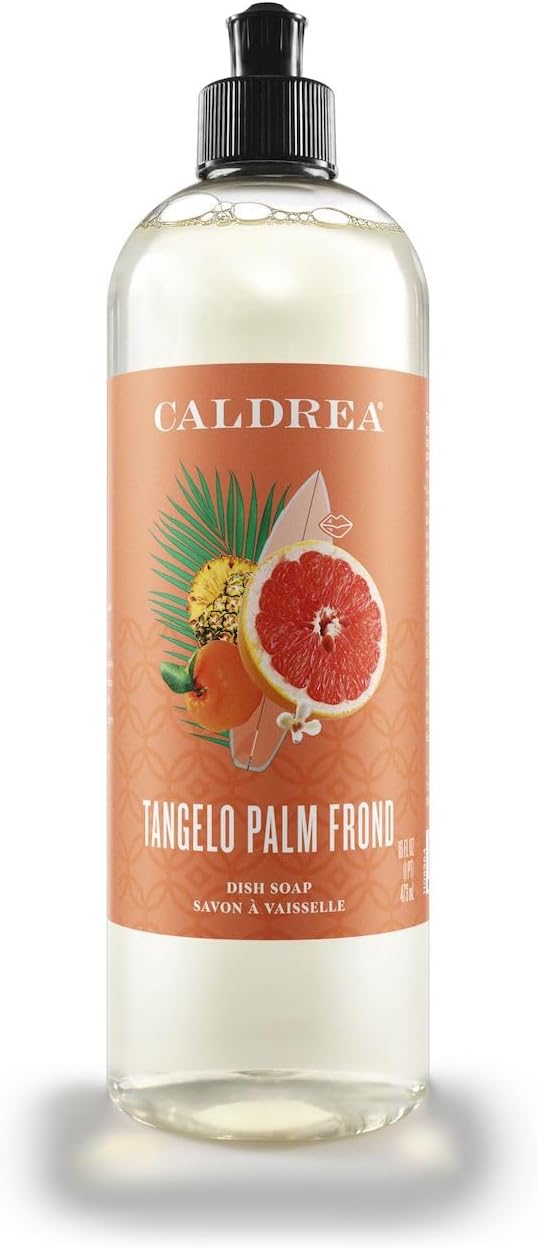 Caldrea Dish Soap, Biodegradable Dishwashing Liquid made With Soap Bark And Aloe Vera, Tangelo Palm Frond Scent, 16 Oz