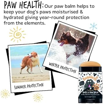 BUGALUGS Dog nose balm, Natural lick safe Paw balm for dogs contains Colloidal Oatmeal, Dog paw cream Vegan formula nose balm for dogs reduces skin irritation and redness. (40g Stick) :Pet Supplies