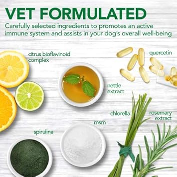 Vet's Best Immune Support Dog Supplement| Promotes Healthy Immune System & Seasonal Allergy Relief | 60 Chewable Tablets :Pet Supplies