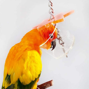 Northern Parrots Acrylic Super Star Parrot Foraging Toy - Large