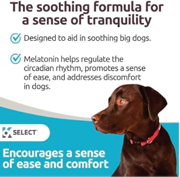 K9 Select Melatonin for Dogs, 1 mg - 180 Vegetable Capsules - Dog Melatonin for Small Breeds - Gentle Well-Being Enhancer - Healthy, Tasty Dog Treats That Helps Overall Health : Medicinal Sleep Aids : Pet Supplies