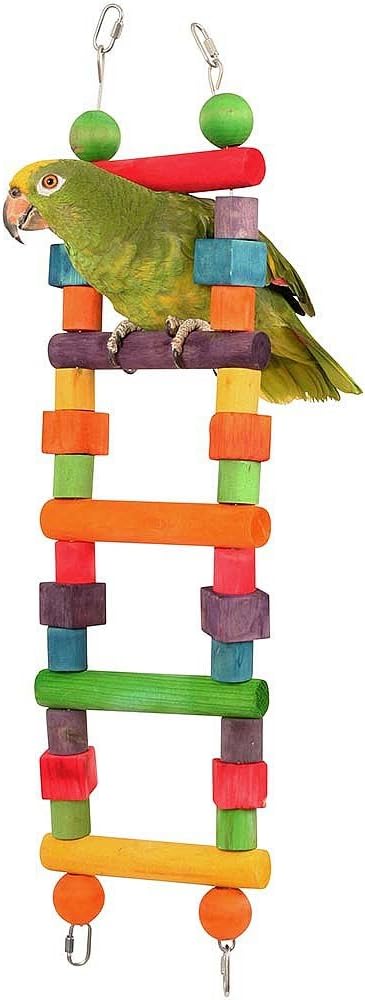 Rainbow Wooden Parrot Ladder Small African Grey Amazon Cockatoo Conure Macaw :Pet Supplies