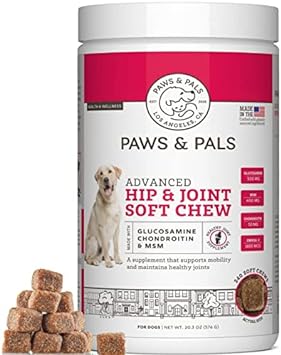 Glucosamine for Dogs, 240 Soft Chews of Advanced Hip and Joint Supplements for Dogs Vet Formulated with Chondroitin & MSM for Mobility Support Keeping Your Dog Young – Tasty Flavor