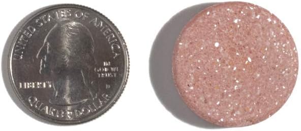 Once Daily Bariatric Multivitamin | Chewable | 45mg l Fruit Punch | 90 Count : Everything Else