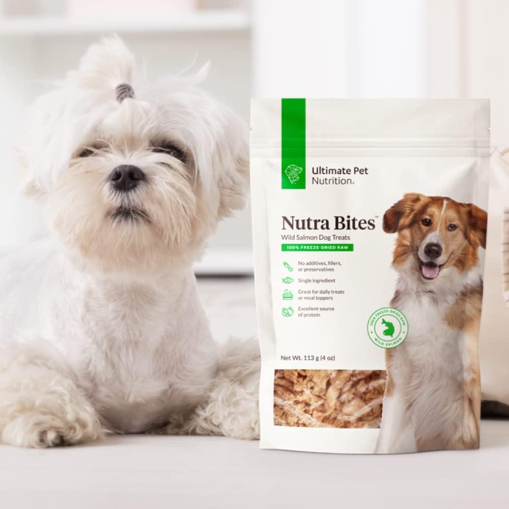 ULTIMATE PET NUTRITION Nutra Bites Freeze Dried Raw Single Ingredient Training Treats Food Topper for Dogs, 4 Ounces, Wild Salmon : Pet Supplies
