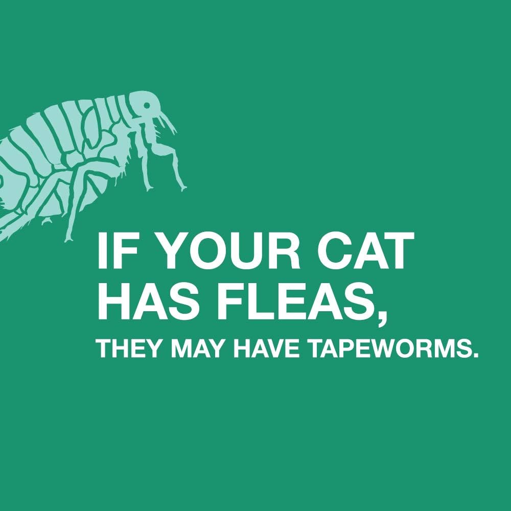 Elanco Tapeworm Dewormer (praziquantel tablets) for Cats and Kittens 6 Weeks and Older, 3-count : Pet Supplies