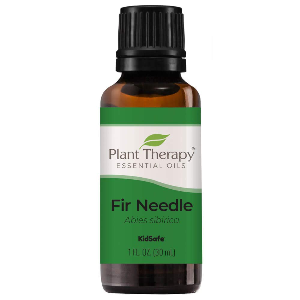 Plant Therapy Fir Needle Essential Oil 30 Ml (1 Oz) 100% Pure, Undiluted, Therapeutic Grade