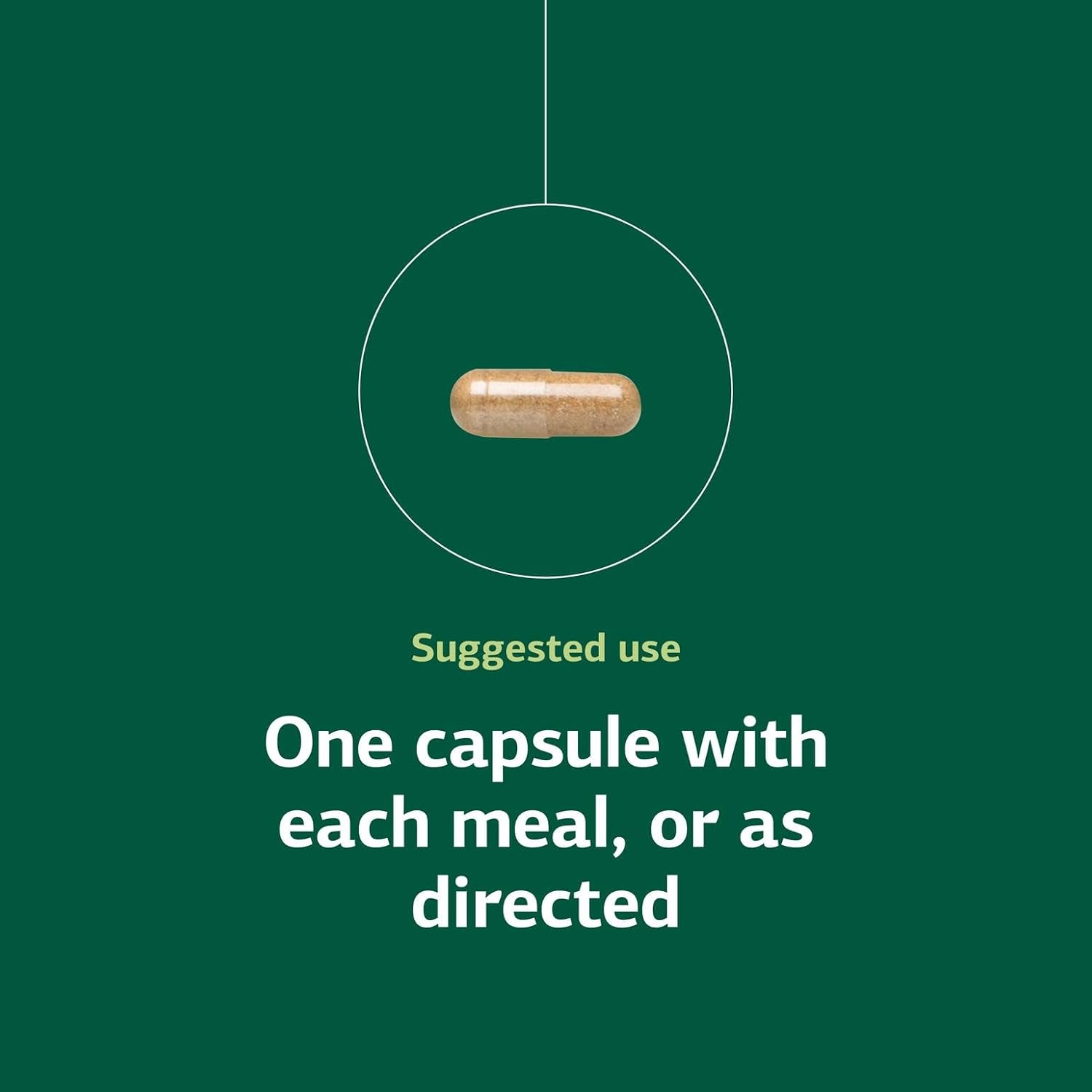 Standard Process Inc. Orchex - Whole Food Nervous System Supplements, Cholesterol, Mental Clarity And Emotional Support With Soy Protein, Ascorbic Acid, Calcium Lactate, Wheat Germ - 90 Capsules : Health & Household