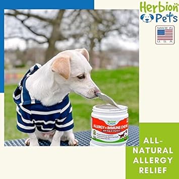 Herbion Pets Allergy + Immune Chews with Kelp & Vitamin C, 120 Soft Chews - Supports Immunity, Skin and Coat Health - Relieves Itchy Skin - Made in USA - Natural Vegetable Flavor - for Dogs 12 Weeks+ : Pet Supplies