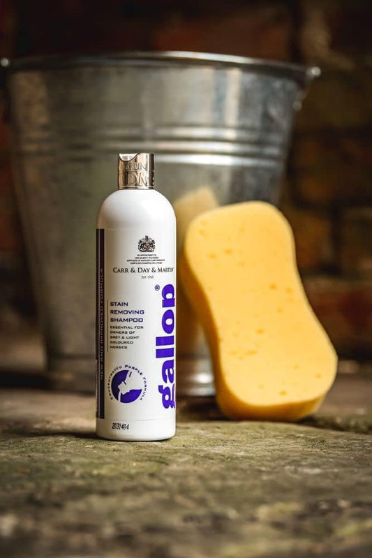 Carr & Day & Martin Gallop Stain Removing Shampoo, 500 ml, clear : Amazon.co.uk: Health & Personal Care
