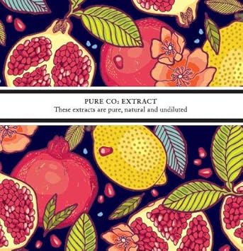 Absolute Aromas Sea Buckthorn Oil Co2 Total Extract 30Ml - 100% Pure, Natural And Undiluted Total Extract Oil