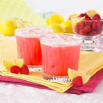 BariatricPal Fruit 14g Protein Drinks - Lemon Razzy (1-Pack) : Grocery & Gourmet Food
