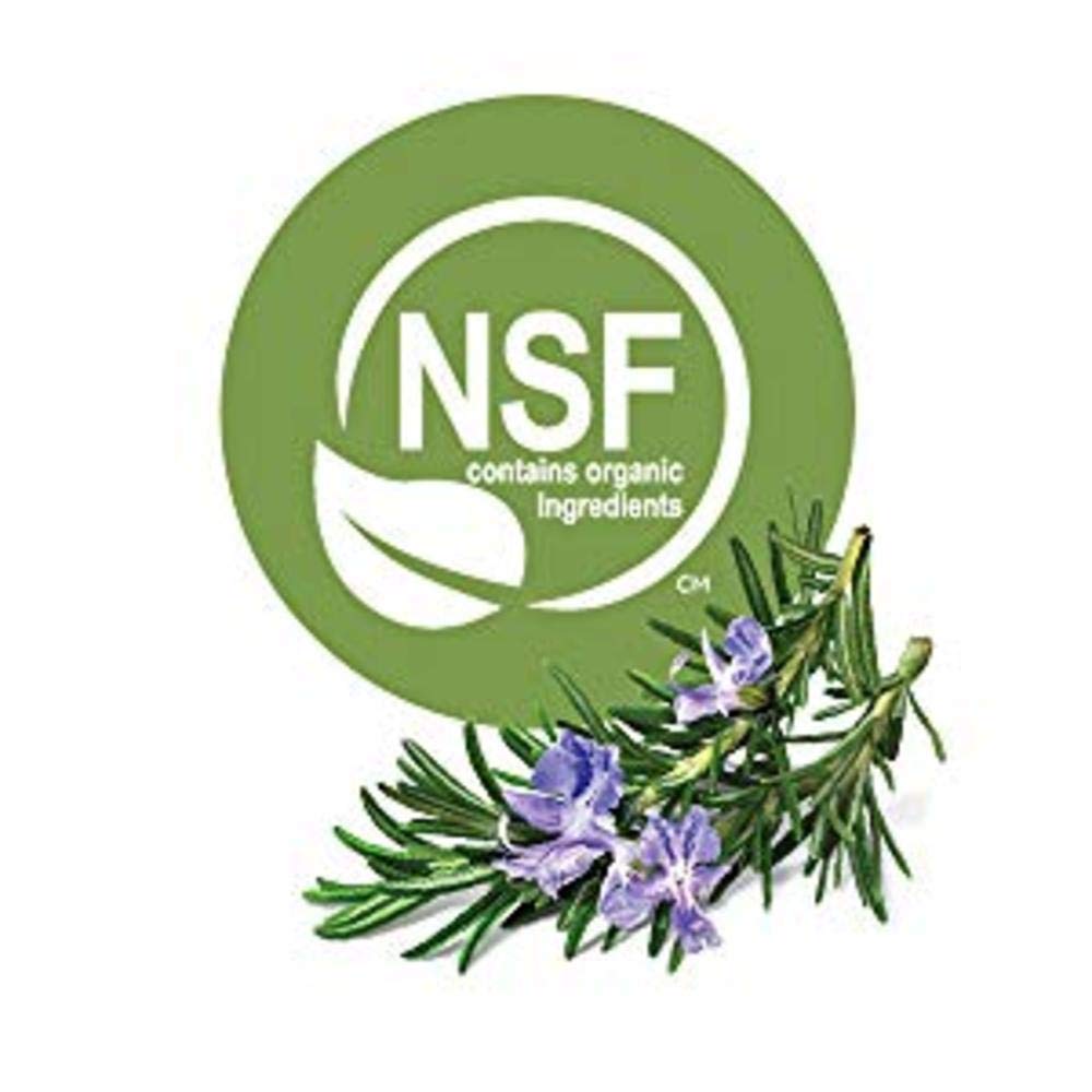 Avalon Organics Firming Body Lotion, Wrinkle Therapy with CoQ10 & Rosehip, 8 Oz : Beauty & Personal Care