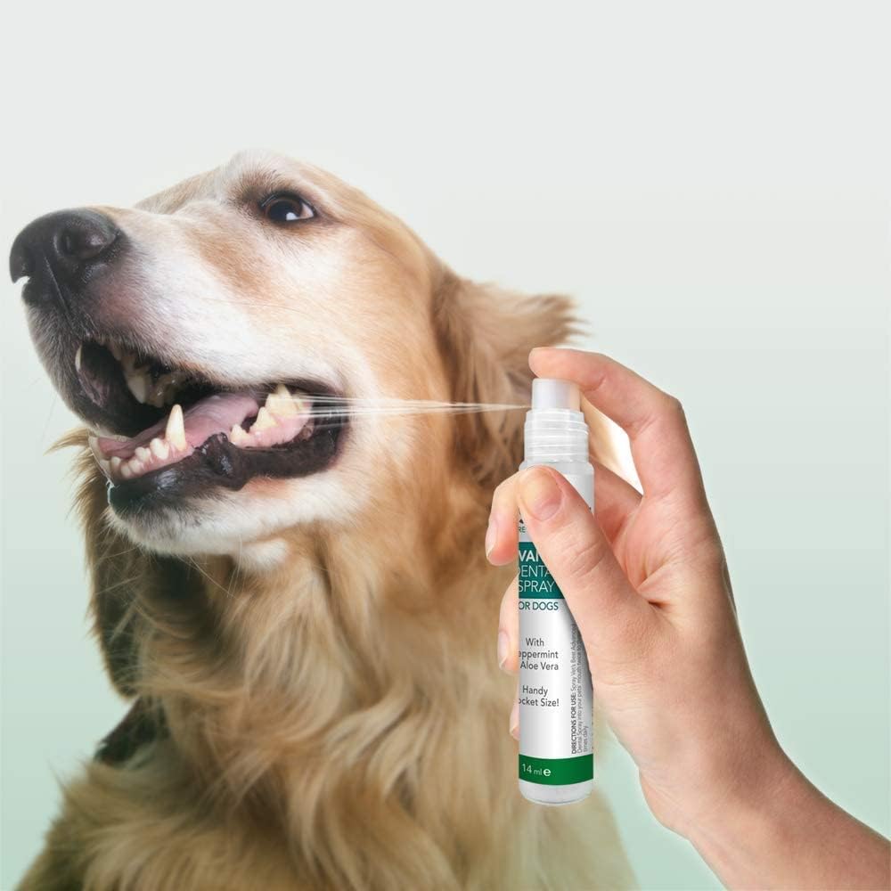 Vet's Best Natural Pocket Dental Spray for Fresh Breathe and Clean Teeth for Dogs, 14 ml :Pet Supplies