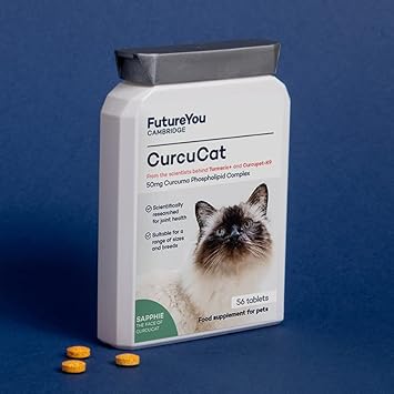 CurcuCat Turmeric Cat Supplements – 56 Capsules – Cat Joint Care with Curcuma Complex & Turmeric – Joint Supplements for Cats by FutureYou Cambridge : Amazon.co.uk: Pet Supplies