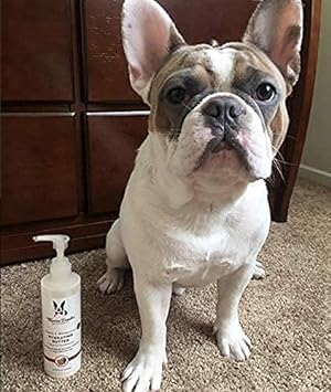 Dog Lotion : Warren London Hydrating Butter Leave In Pet Conditioner for Dogs | Lotion Skin and Coat Aloe Puppy & Dog Hair Detangler, Dry Skin, Fur Dandruff Use After Shampoo Bathing Made in USA Guava 8oz