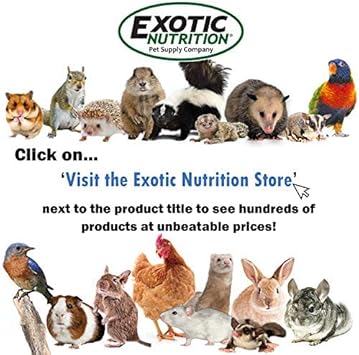 Exotic Nutrition Dried Black Soldier Fly Larvae (1.5 oz.) - High-Calcium Insect Treat - Chickens, Wild Birds, Hedgehogs, Bluebirds, Reptiles, Sugar Gliders, Opossums, Skunks, Lizards, Fish : Pet Supplies