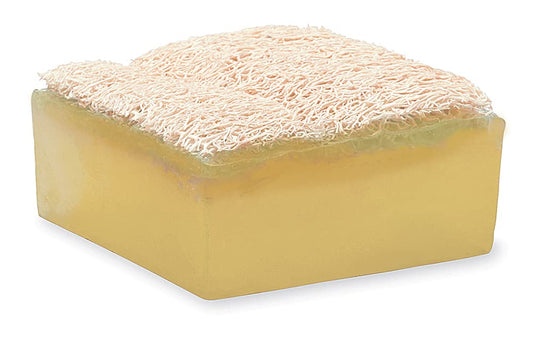 Primal Elements Lemongrass Loofah Bar Soap, 5 Ounce : Beauty & Personal Care
