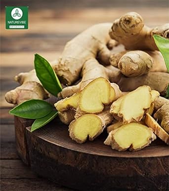Naturevibe Botanicals Premium Ginger Root Powder (5lb), Zingiber officinale Roscoe | Keto Friendly | Non-GMO and Gluten Free…