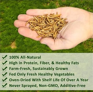 Dried Mealworms - 100% Natural, Non-GMO, High Protein, Bulk Insect Treat for Chicken, Laying Hen, Chick, Wild Bird, Bluebird, Duck, Goose, Turkey, Chickadee, Titmice, Wren, Reptile, Fish (11 lb.) : Pet Supplies