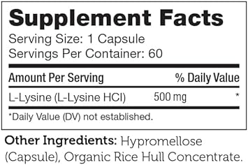 Zahler L-Lysine 500mg, Freeform L-Lysine Supplement, Kosher 60 Capsules : Health & Household