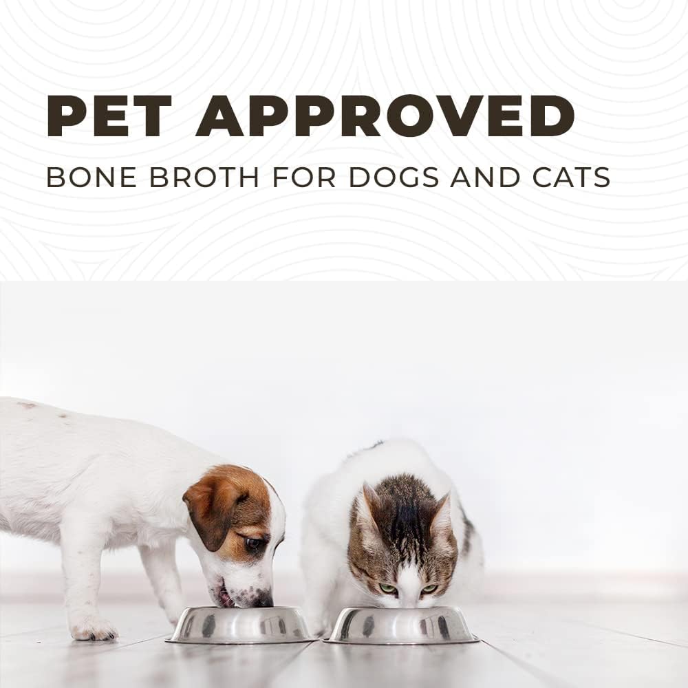 8oz Beef Bone Broth Powder for Dogs and Cats – Human Grade Grass-Fed Bone Broth for Picky Eaters – Supports Joints and Gut Health – Single Ingredient Bone Broth for Cats -Dog Food Toppers For Dry Food : Pet Supplies