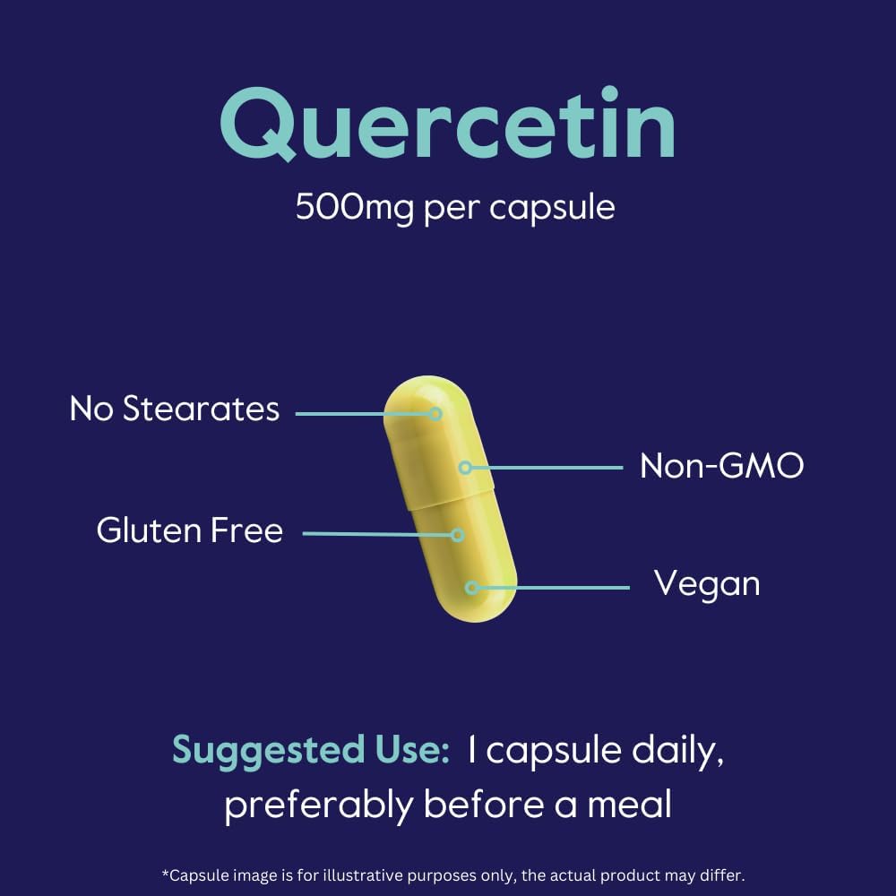Bestvite Quercetin 500Mg (240 Vegetarian Capsules)(120 X 2) - No Stearates - No Silicon Dioxide - Vegan - Non Gmo - Gluten Free : Health & Household