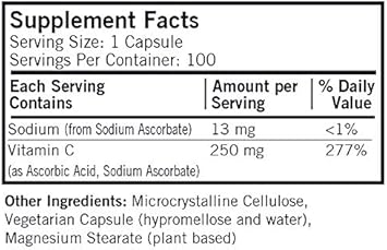 Kirkman Vitamin C 250 Mg 100-Count : Health & Household