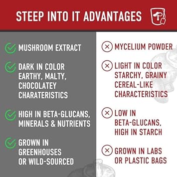 Steep Into It Organic Reishi and Chaga Mushroom Powder Supplement - Reishi Mushroom Extract for Stress Relief, Sleep and Immune Support (45g, 30 Servings) - Rest & Recharge : Health & Household
