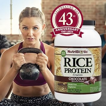 NutriBiotic – Chocolate Rice Protein, 3 Lb (1.36kg) | Low Carb, Vegetarian & Keto-Friendly Raw Protein Powder | Grown & Processed Without Chemicals, GMOs or Gluten | Easy to Digest & Nutrient-Rich : Health & Household