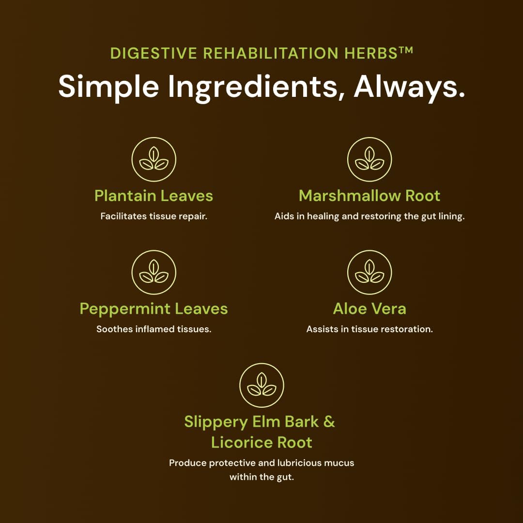 Nature'S Rite Digestive Enzymes, Gut Health Rehabilitation All Natural Herbs, Fast Acting 60 Capsules : Health & Household