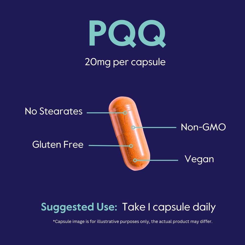 Bestvite Pqq 20Mg (Pyrroloquinoline Quinone) (120 Vegetarian Capsules) - No Stearates - Vegan - Non Gmo - Gluten Free : Health & Household