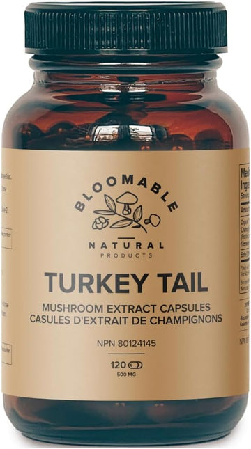 Turkey Tail Mushroom Capsules I Gut Health And Immunity (120 Capsules)